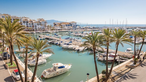 A marina with numerous boats docked, surrounded by palm trees and buildings.