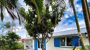 A small building with a white exterior and blue shutters, surrounded by greenery and a hammock.