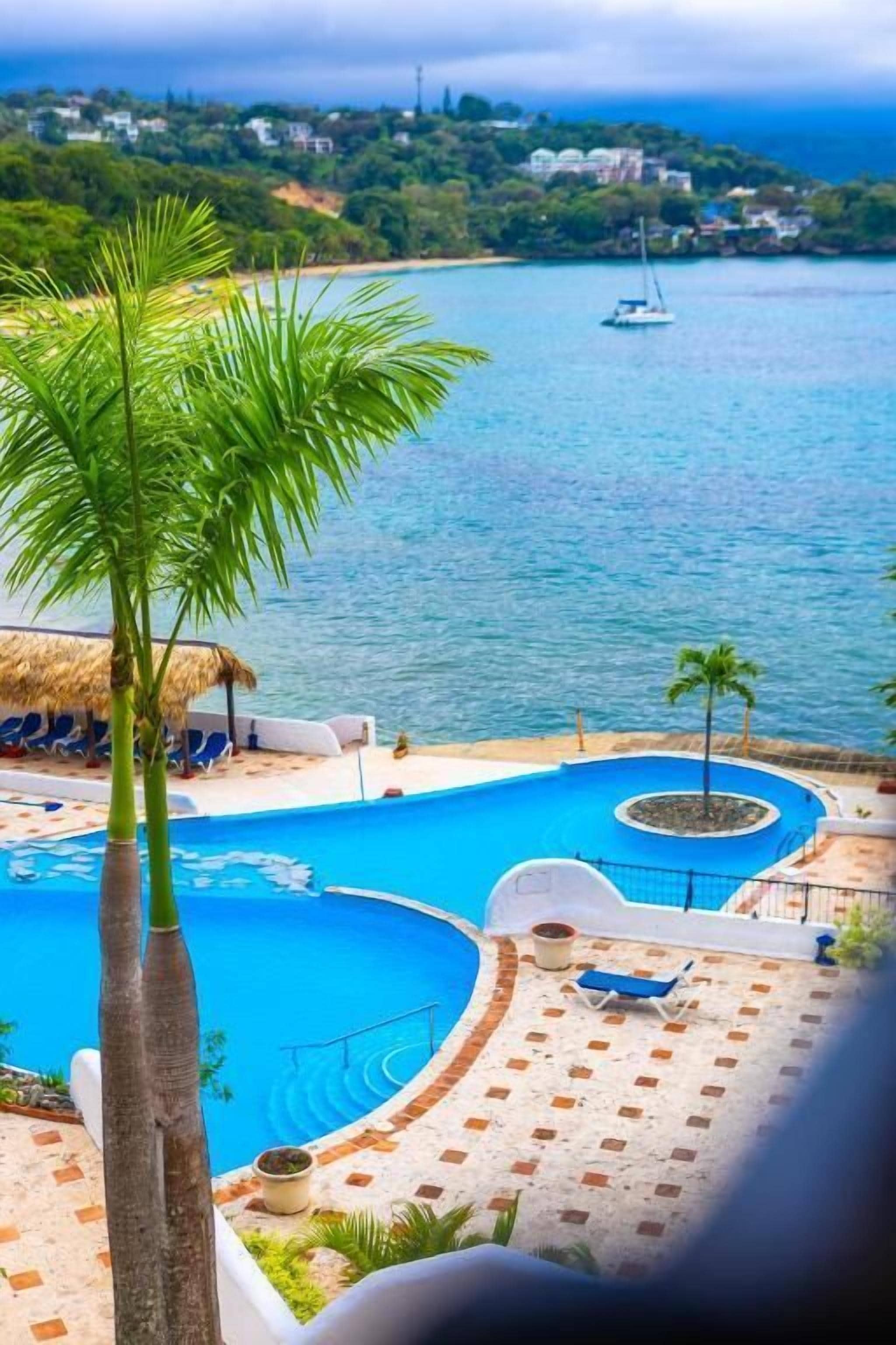 A pool area with lounge chairs, a palm tree, and a view of the sea.