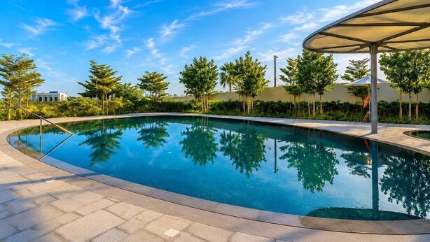 Une piscine à bord incurvé, entourée d’une allée pavée et d’arbres.