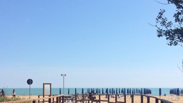 Pasarela de madera que conduce a una playa con sombrillas y bicicletas.