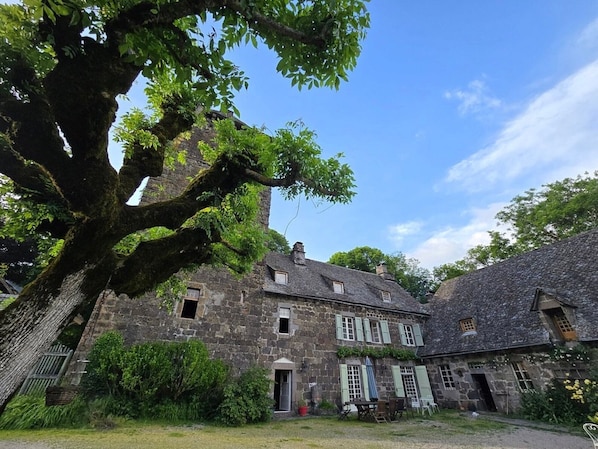 A historic stone building with multiple windows and a large tree in the foreground.