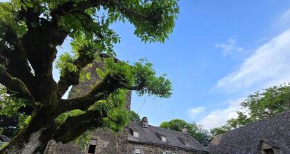 Baldaquin and Salle de Garde Guest Room