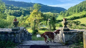 Un chien se tient sur une plateforme de pierre, d’où l’on peut admirer une vallée verdoyante et des collines.