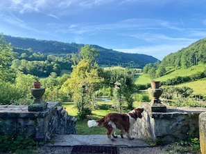 A dog standing on a stone platform with a view of a lush green valley and hills.