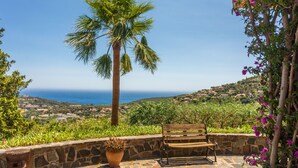 A stone bench with a potted plant, a palm tree, and a view of the ocean. - Villa Esperanza – Air-Conditioned Studio with Sea View Terrace (Cavalaire-sur-Mer)