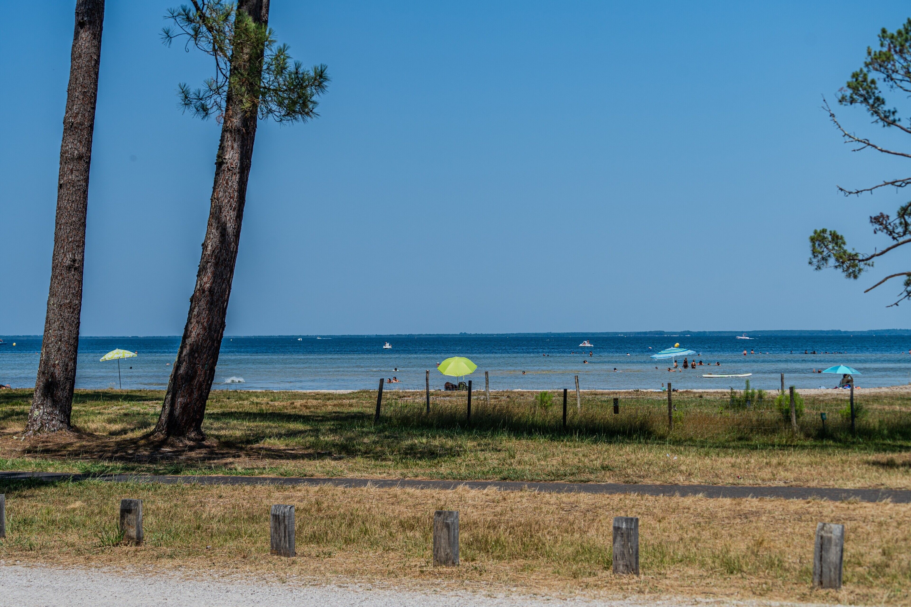 Ein Strand mit Bäumen, einem Zaun und Sonnenschirmen.