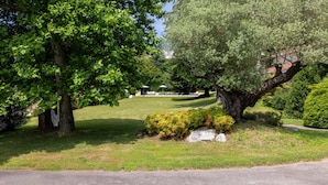Un jardin bien entretenu, avec une pelouse, un grand arbre et un chemin.