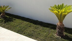 A modern building with a stone facade and a well-maintained lawn with two palm trees. - Marèa - Capo Vaticano (Ricadi)