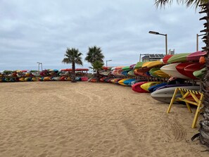 Una playa con hileras de kayaks de colores y una palmera.
