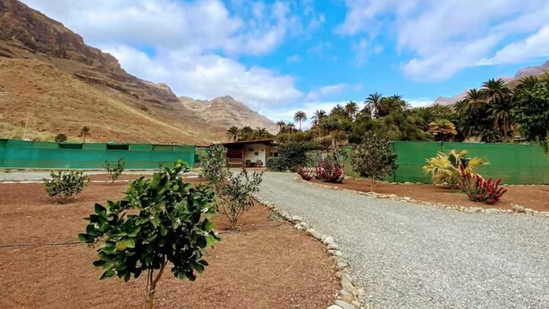A rural landscape with a gravel road, a small building, and a variety of vegetation including trees and shrubs. - Finca House by Fataga Maspalomas (San Bartolomé de Tirajana)