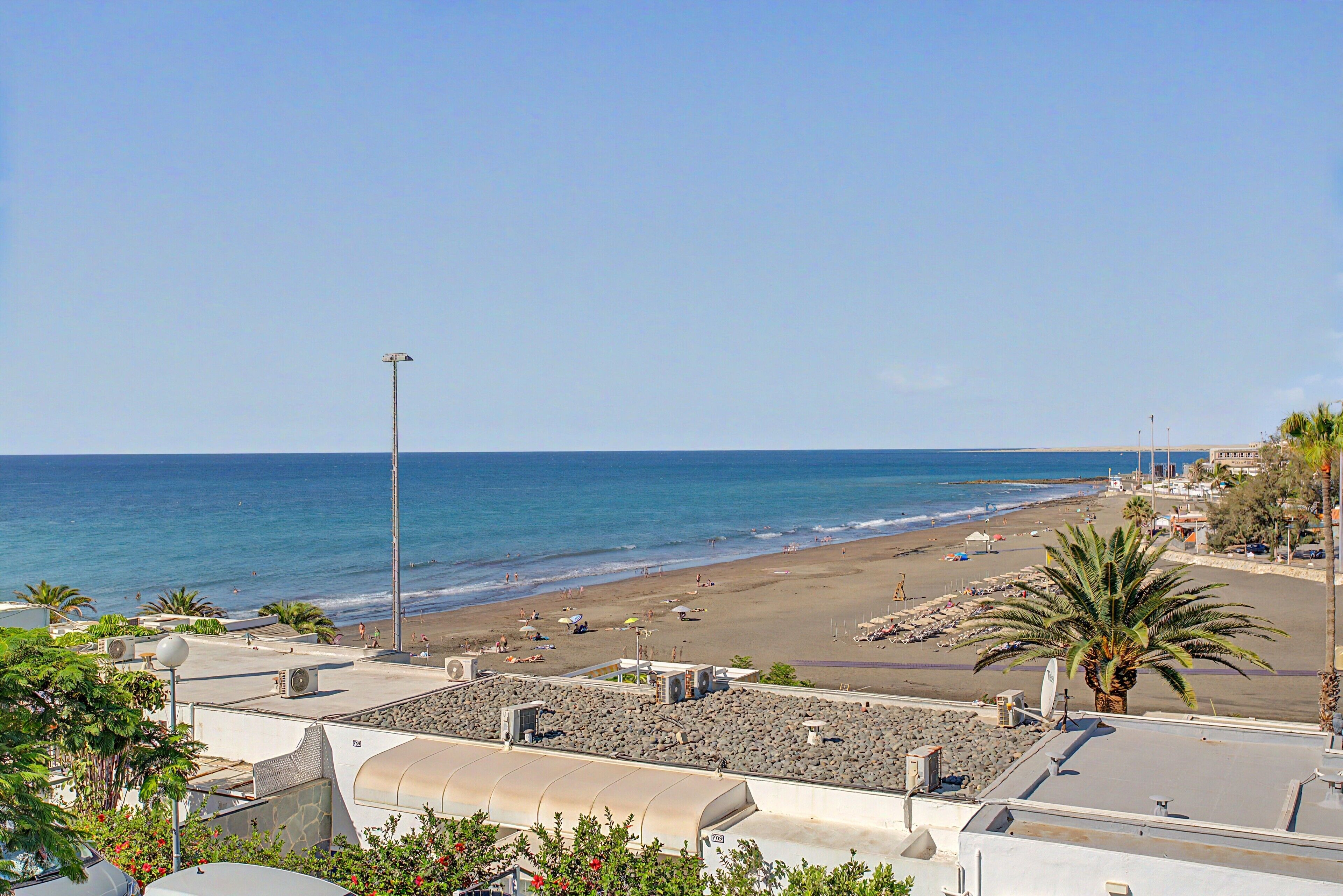 Une plage offrant une vue dégagée sur la mer, un rivage sablonneux et quelques palmiers.