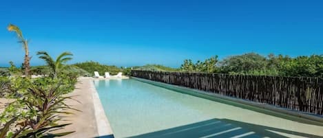 A long swimming pool with a wooden fence on one side and a row of palm trees on the other.