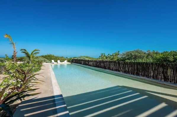 A long swimming pool with a wooden fence on one side and a row of palm trees on the other.