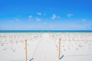 Ein Strandweg, der zum Meer führt, mit blauem Himmel.
