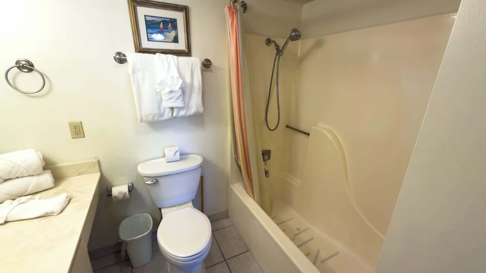 Ein Badezimmer mit Toilette, Waschbecken, Badewanne und Dusche.