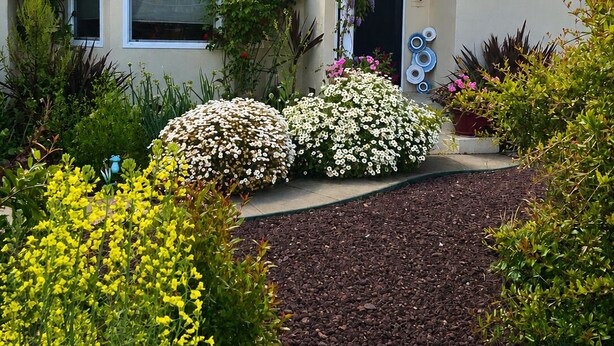 Ein Haus mit Vorgarten, Auffahrt und Garten mit verschiedenen Pflanzen und Blumen.
