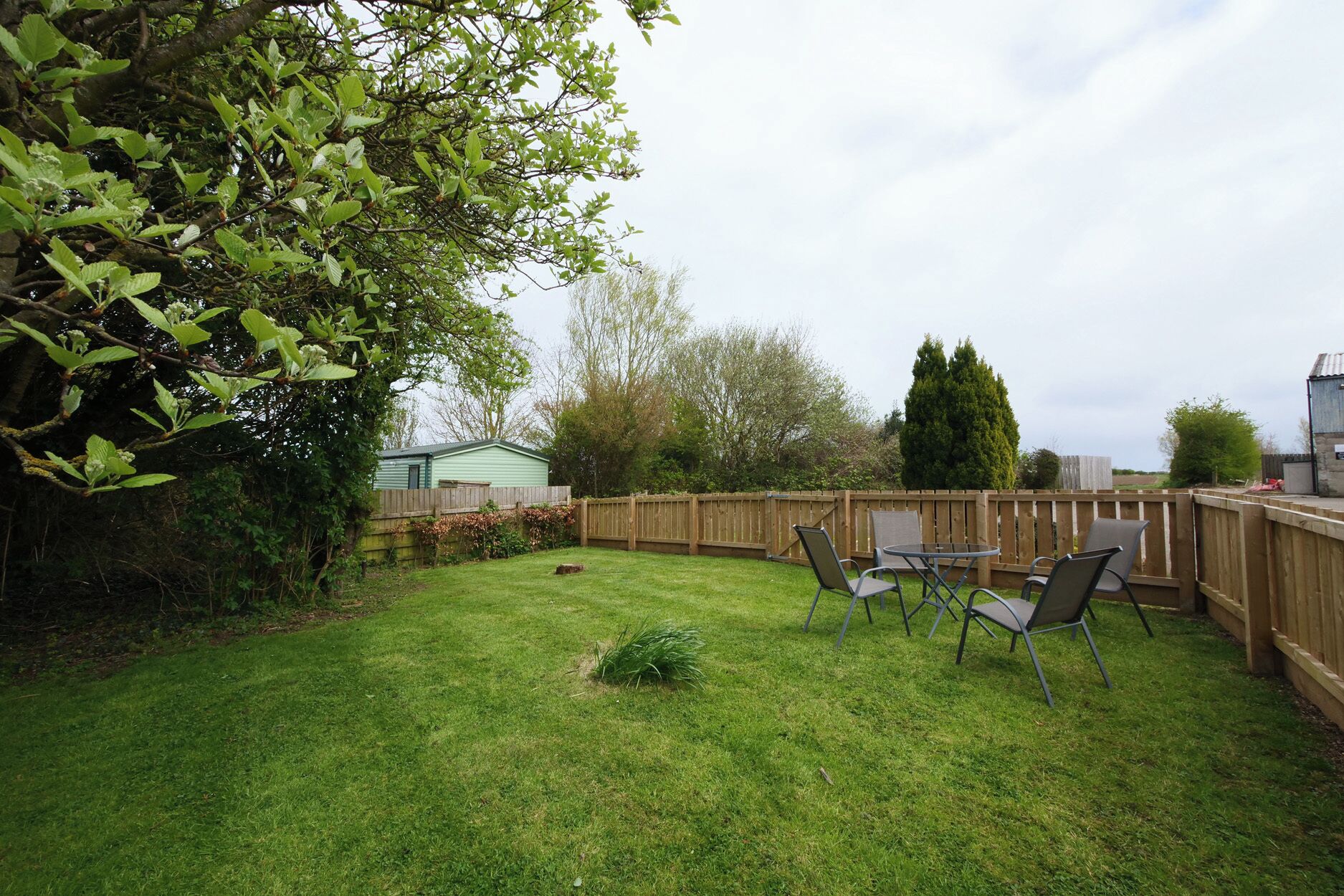 A backyard with a wooden fence, a small shed, and two lawn chairs.