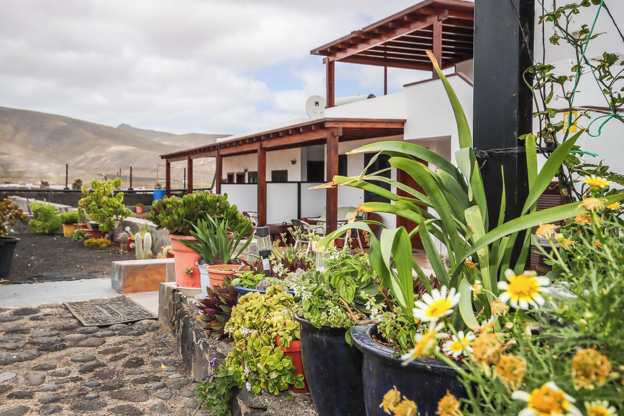 Un giardino pensile con diverse piante e fiori in vaso, una pergola e montagne sullo sfondo.