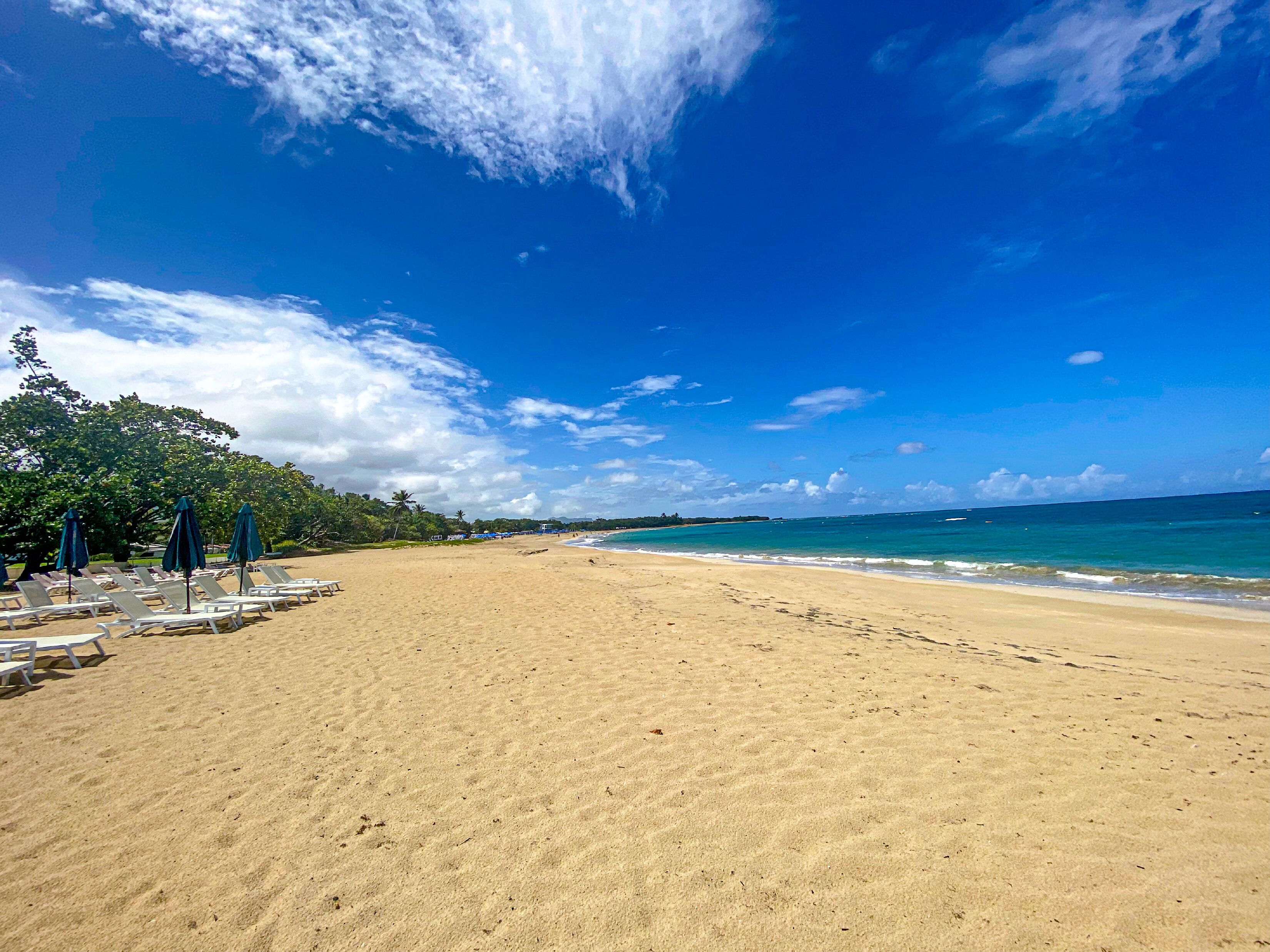 Une plage avec des chaises longues blanches et des parasols bleus, un ciel dégagé et des vagues océaniques calmes.