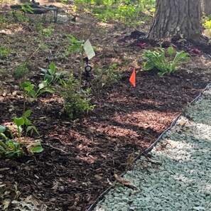 A garden area with mulch, plants, and a small sign.