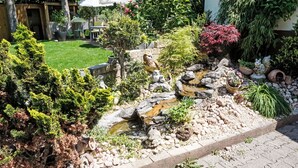 A garden with a small pond, rocks, and various plants. - Apartment Jessy by Interhome (Gau-Algesheim)