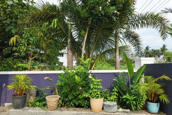 Una hilera de macetas con plantas frente a una pared morada, con diversidad de follaje y un cielo despejado al fondo.