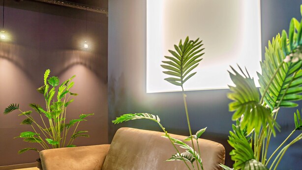 A modern living room with a sofa, large potted plants, and a wall-mounted projector screen. - Studio Apartment '7' with Wi-Fi (Parsberg)