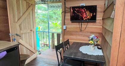 Moon cabin