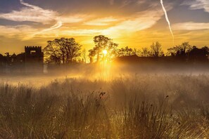 Um pôr do sol sobre um campo com árvores e um edifício ao longe.