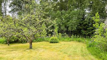 Zona verde con un árbol y vegetación densa al fondo.