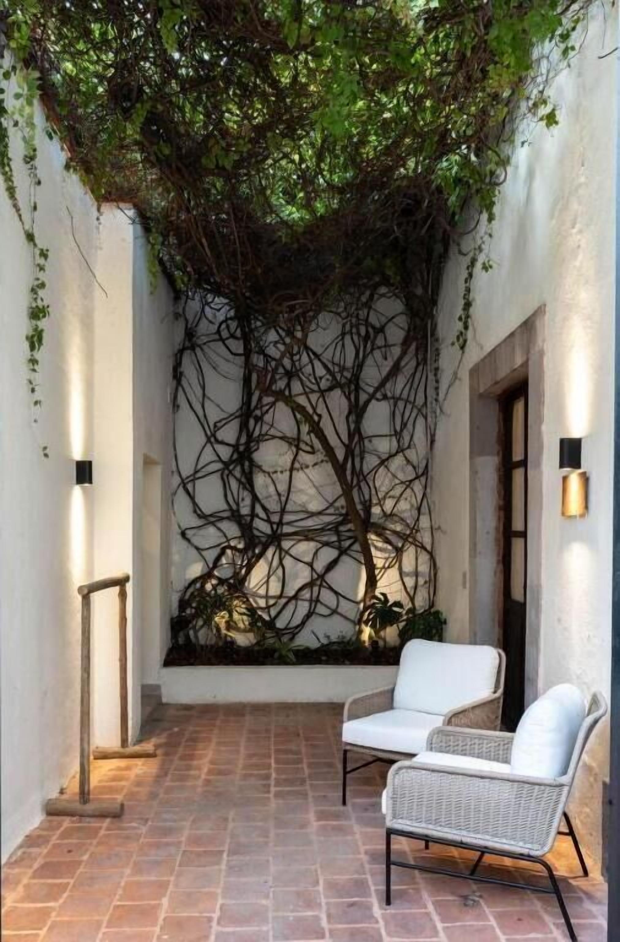 Suite | Terraza o patio
