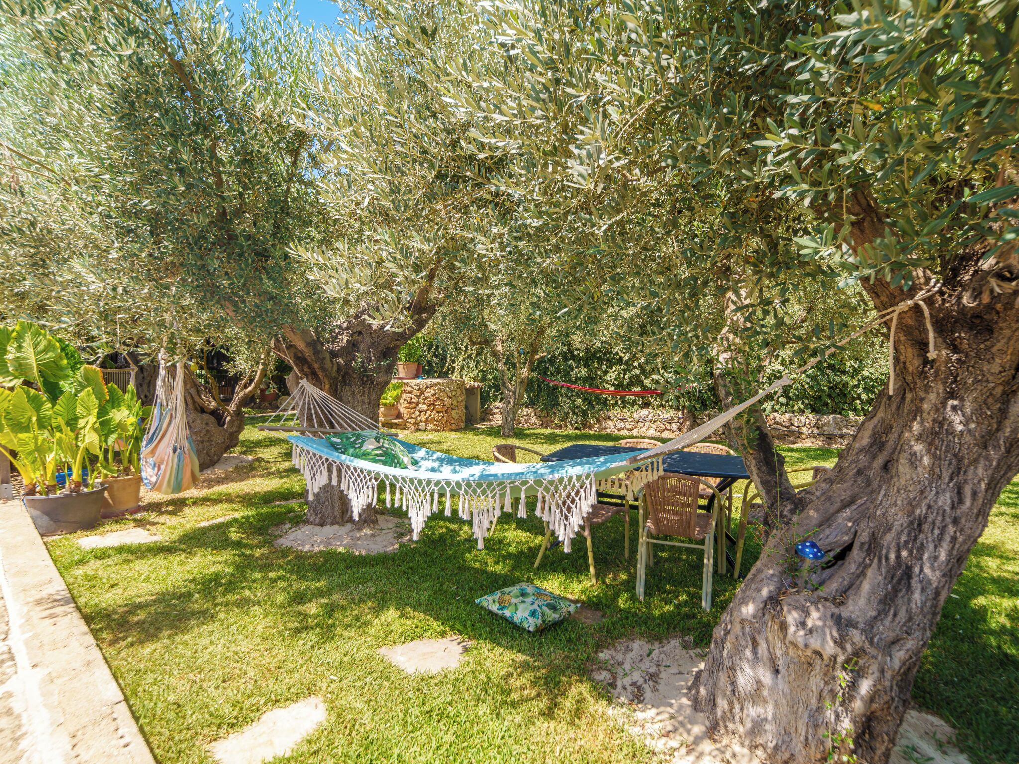 A hammock under an olive tree, a stone wall, and a grassy area with a small table and chairs.