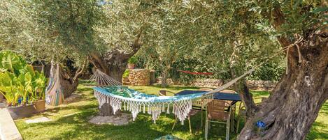 A hammock under an olive tree, a stone wall, and a grassy area with a small table and chairs.