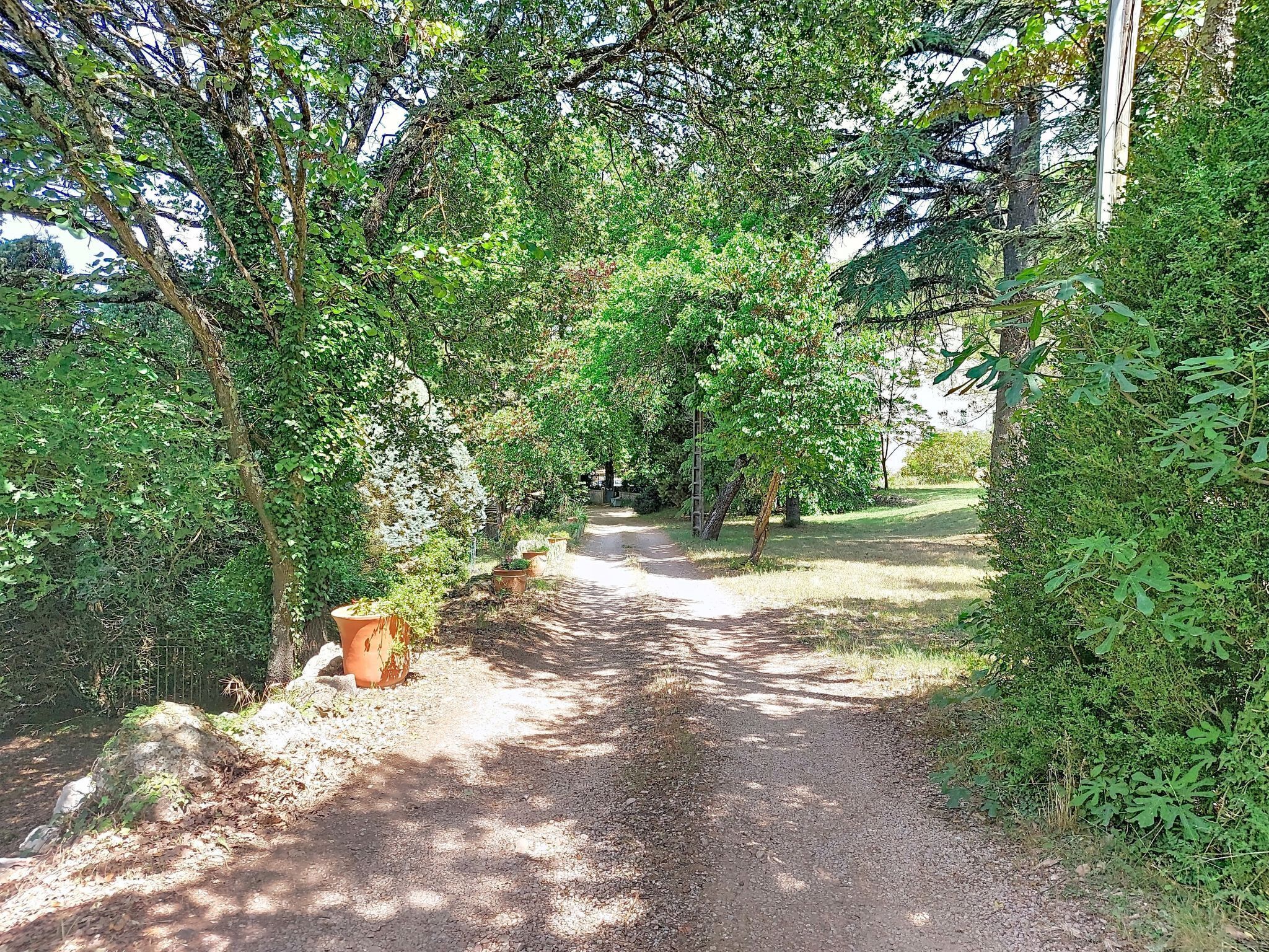 A gravel path flanked by dense greenery and trees, leading to a building.
