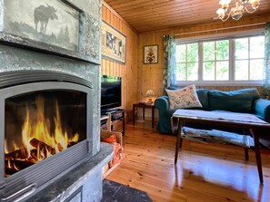 Una sala de estar acogedora con chimenea, paredes de madera, un sofá y un televisor.
