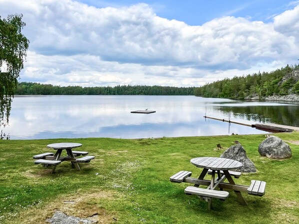 Un área de picnic junto al lago con mesas y bancos, rodeada por un campo cubierto de césped y una orilla boscosa.