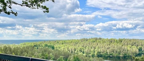 Une terrasse en bois avec des bancs, donnant sur un lac et une forêt.