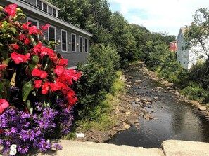 Ein Fluss mit Felsen, umgeben von Grünpflanzen und Häusern.