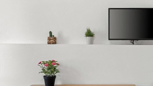 A wall-mounted TV, a small cactus, a potted plant, and a potted flower arrangement. - Camera chiara 3 – Relax with a View in the Heart of Alghero 🌊✨ (Alghero)