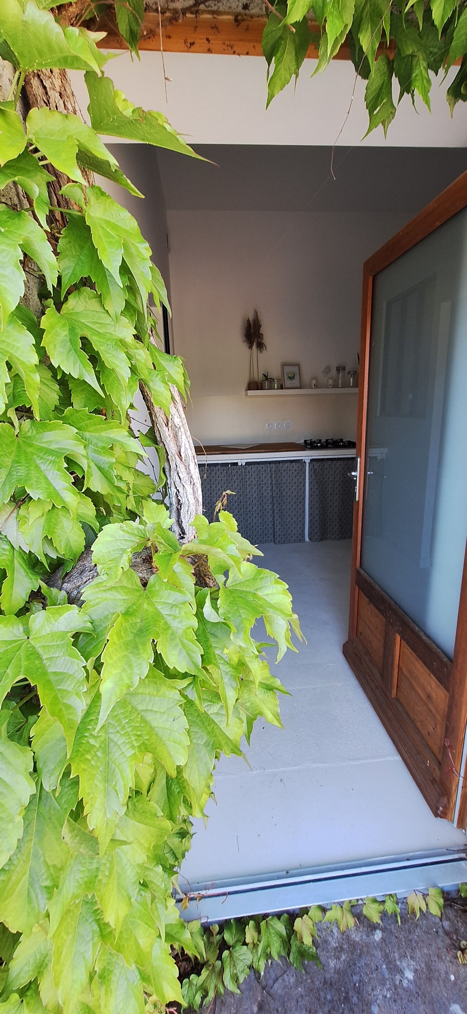 Área da propriedade