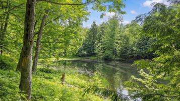 A natural landscape with a river, dense greenery, and trees.
