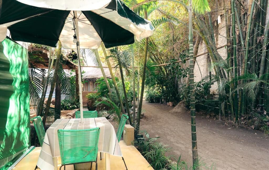 An outdoor dining area with tables and chairs, surrounded by bamboo and tropical plants.