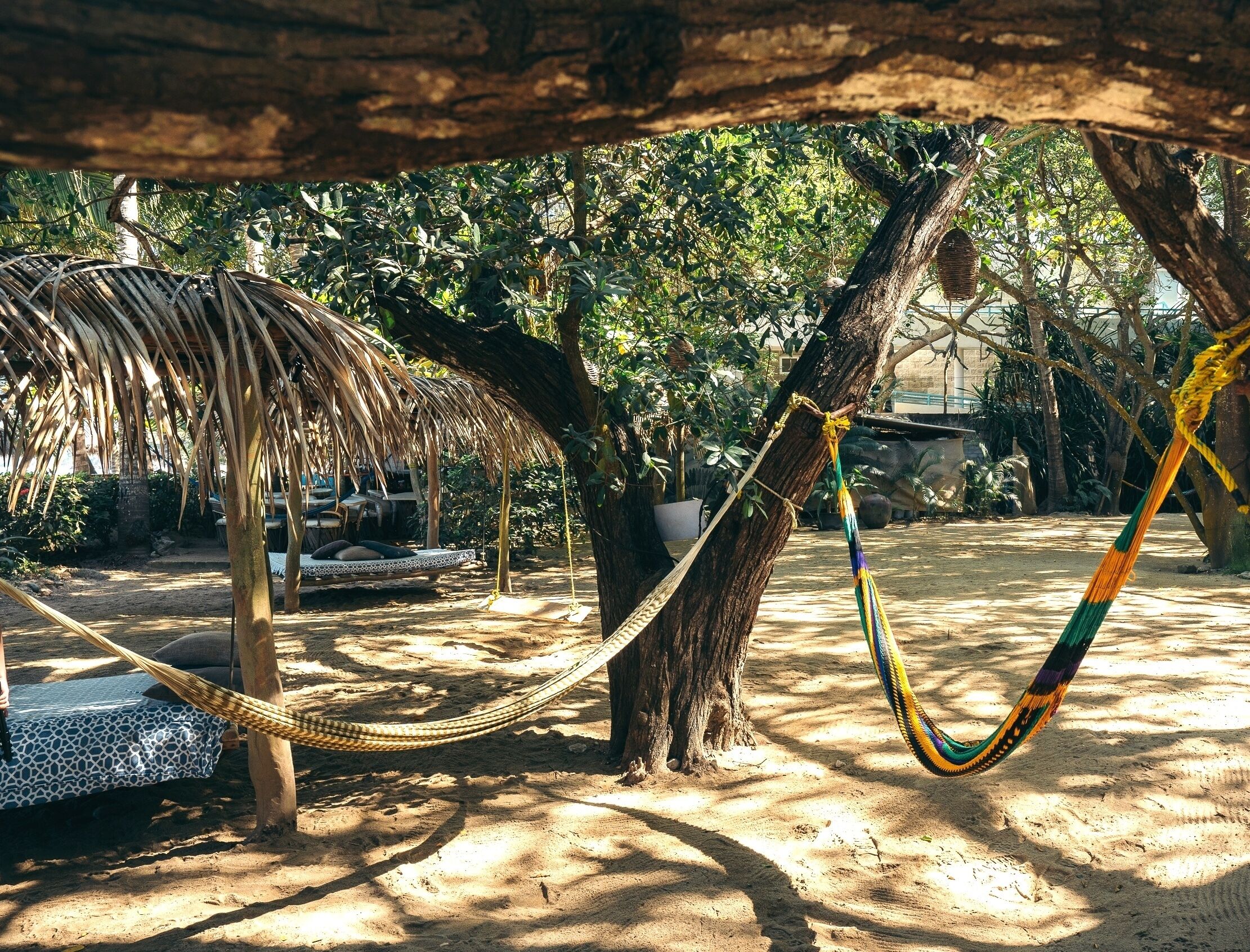 A hammock under a wooden structure, surrounded by trees and a sandy ground.