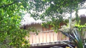 Edificio con techo de paja y un patio, rodeado de plantas tropicales y una sombrilla azul.