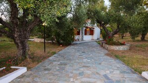 Um caminho de pedra leva a um edifício branco com uma porta vermelha, rodeado por oliveiras e um jardim com flores vermelhas.