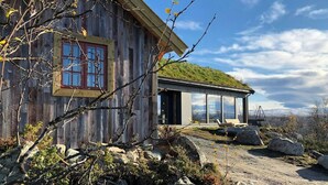 A rustic wooden cabin with a green roof, large windows, and a stone pathway leading to the entrance. - Charming moutain cabin with charm near Vasstulan (Uvdal)