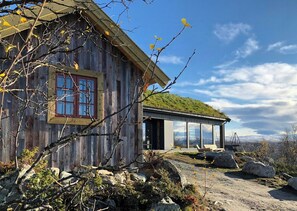 A rustic wooden cabin with a green roof, large windows, and a stone pathway leading to the entrance.