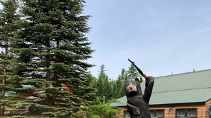 Un muro de piedra con una estatua de oso, una cabaña de madera y un gran pino.
