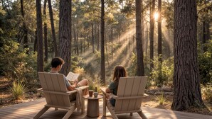 Deux personnes sont assises sur des chaises en bois, sur une terrasse, et lisent des livres. On aperçoit une forêt et la lumière du soleil en arrière-plan.